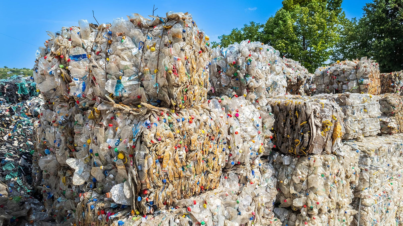 Chef d'équipe prélevant une seringue avec une pince sur un tapis de tri de déchets à l'arrêt